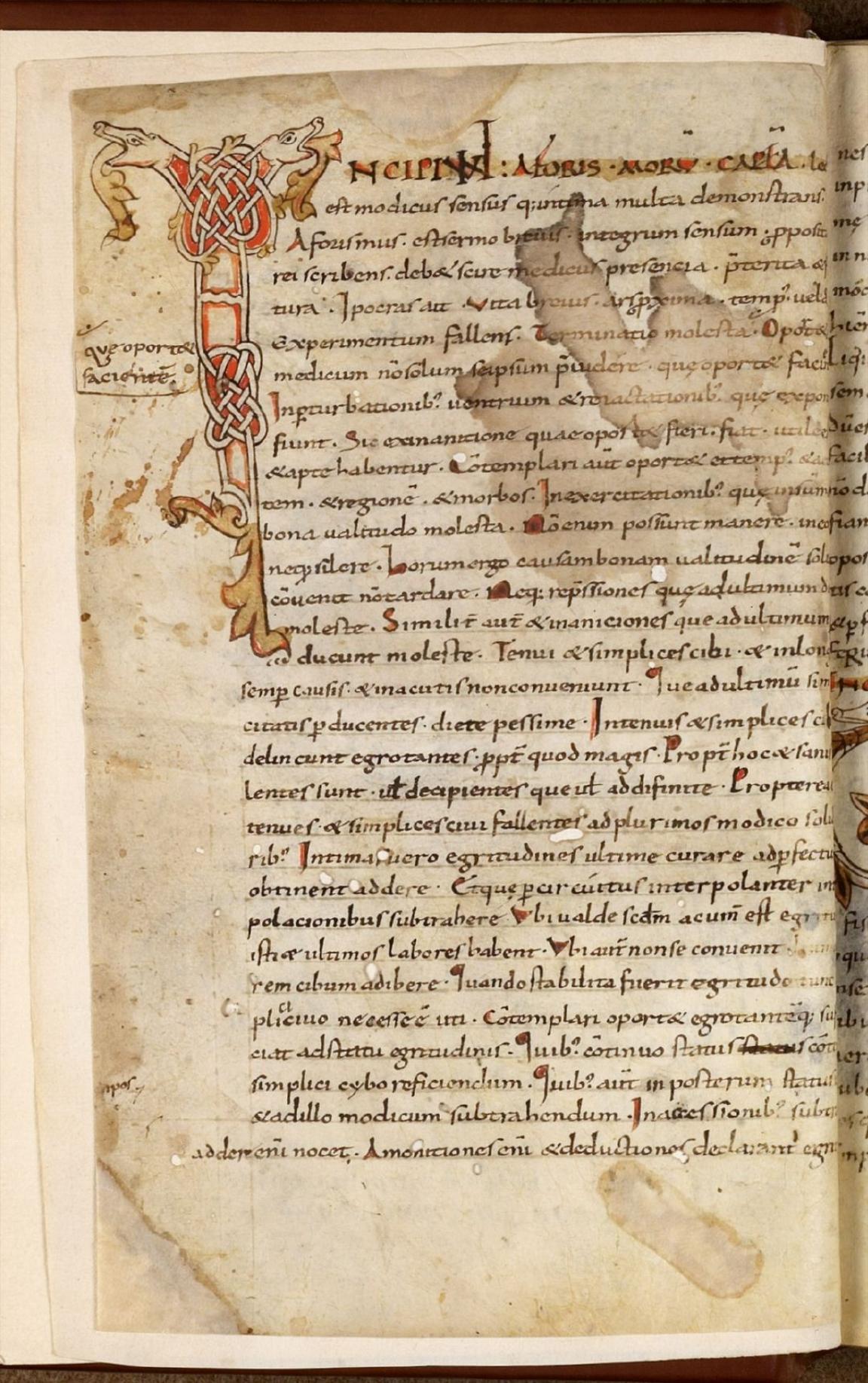 img-document